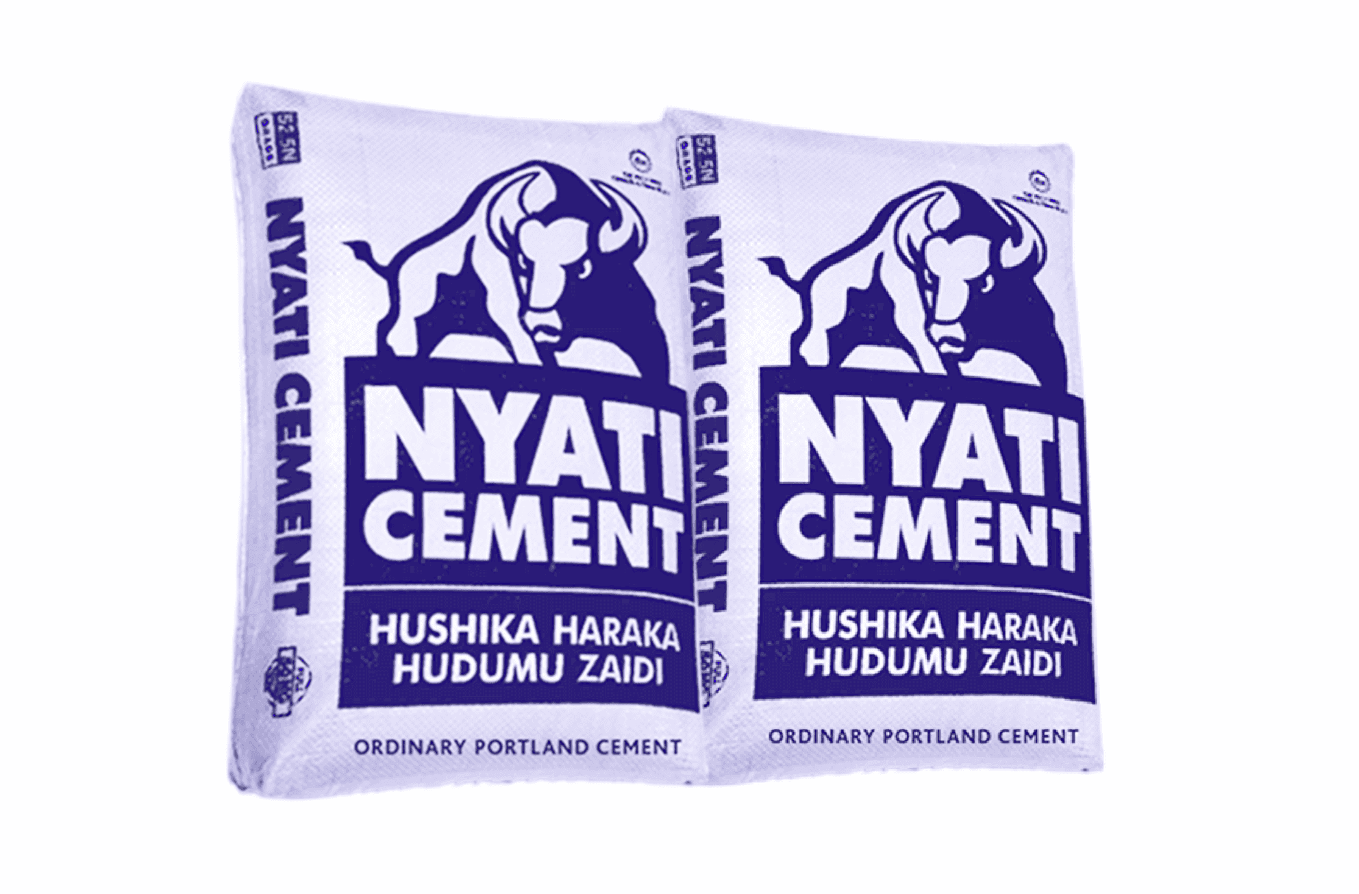 Ordinary Portland Cement